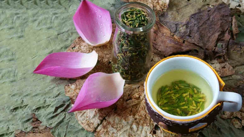 bài thuốc nam chữa mất ngủ mãn tính