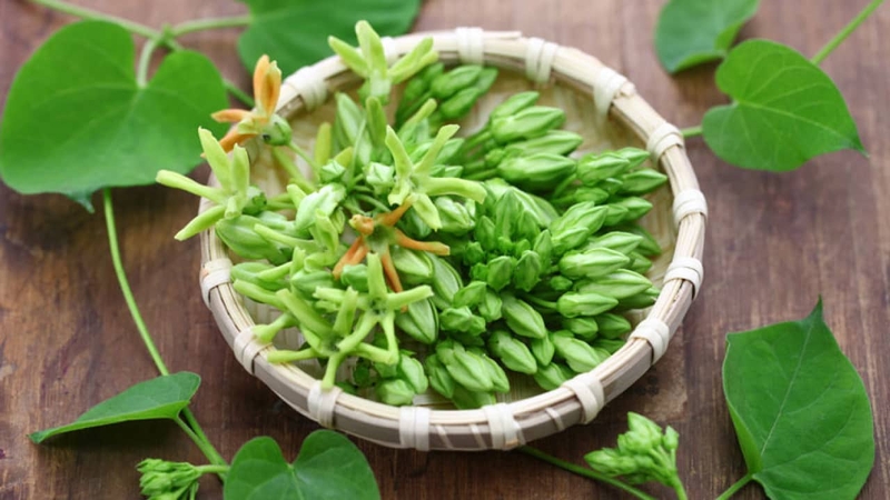 Gợi ý một số phương pháp dùng thuốc nam trị bệnh trĩ 1