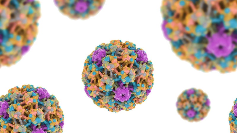 HPV type 39 có nguy hiểm không? 2