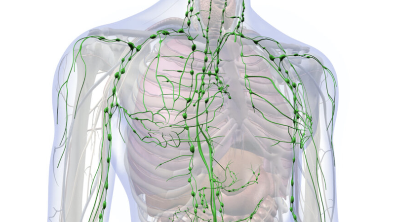 hach-ngoai-vi-la-gi-nhung-dieu-can-biet-ve-hach-ngoai-vi 1