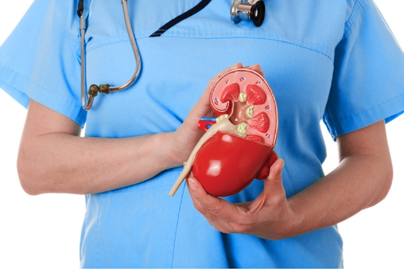 Hội chứng Alport là gì? Những dấu hiệu và triệu chứng gặp trong hội chứng Alport