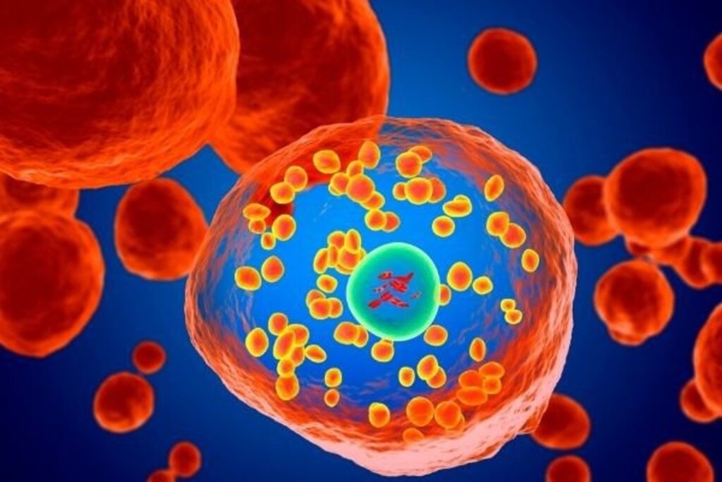 Hội chứng Evans - Hội chứng rất hiếm gặp nhưng lại cực kỳ nguy hiểm 1