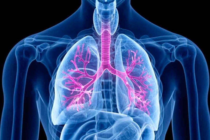 Hội chứng phế quản là gì? Nguyên nhân và triệu chứng thường gặp trong hội chứng phế quản