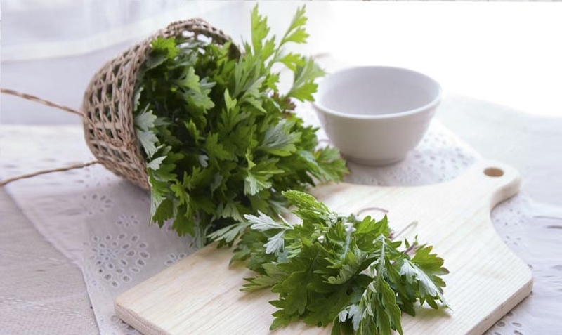 Hướng dẫn chữa đau thần kinh tọa bằng ngải cứu từ A tới Z hiệu quả và an toàn 1