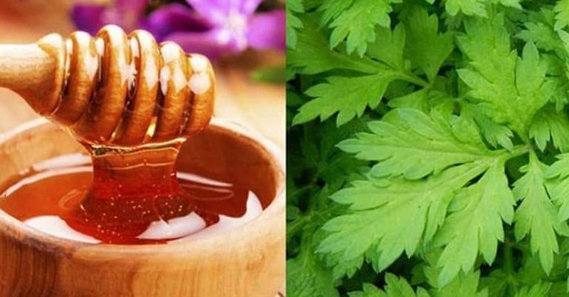 Hướng dẫn chữa đau thần kinh tọa bằng ngải cứu từ A tới Z hiệu quả và an toàn 2