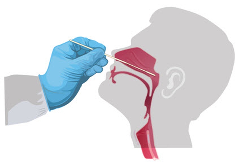 Hướng dẫn sử dụng Humasis COVID-19 Ag Test 2