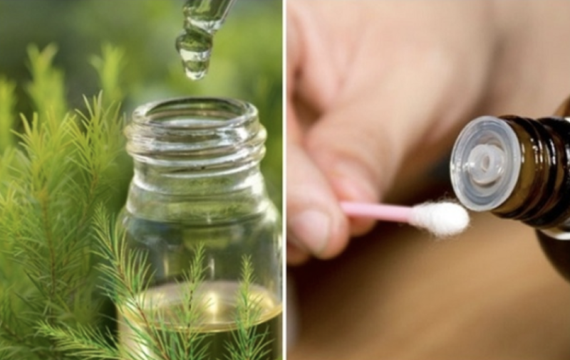 Hướng dẫn sử dụng tinh dầu tràm đúng cách và hiệu quả 2