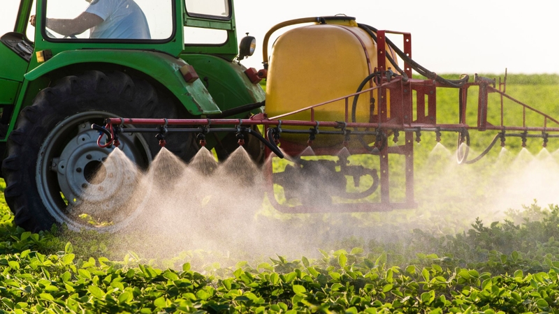 Imidacloprid là thuốc trừ sâu lưu dẫn, dùng để kiểm soát nhiều loại côn trùng gây hại trong nông nghiệp