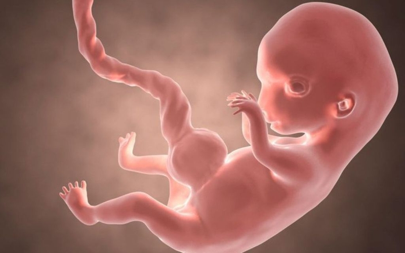 Kết quả siêu âm thai dựa trên những chỉ số nào? Ý nghĩa các chỉ số 1