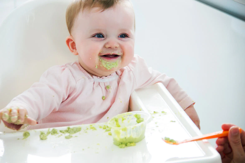 Khi trẻ mới bắt đầu tập ăn dặm, nên cho trẻ ăn thức ăn xay nhuyễn 1