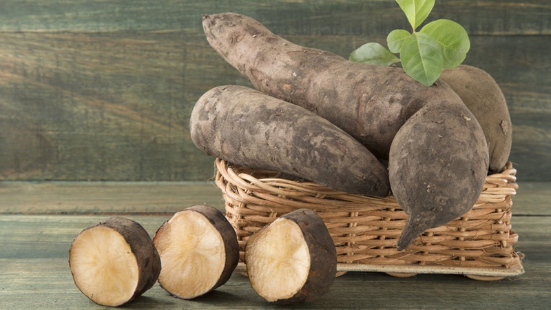 Khoai sâm đất là củ gì? Khoai sâm đất ăn sống được không 1