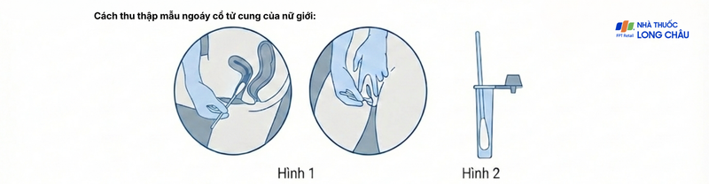 Kit test HPV Accufast L1E7 giúp phát hiện sớm nguy cơ ung thư cổ tử cung (25 kít) 1.png