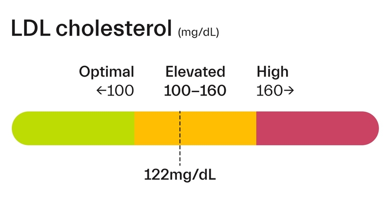 LDL cholesterol là gì? Những điều cần biết để bảo vệ tim mạch 2