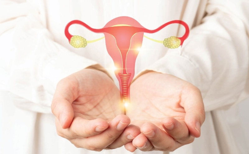 Làm IUI có cần giấy đăng ký kết hôn không? Những điều cần biết 1