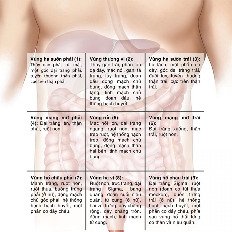 Làm gì khi bị đau bụng dưới ở nam? 1