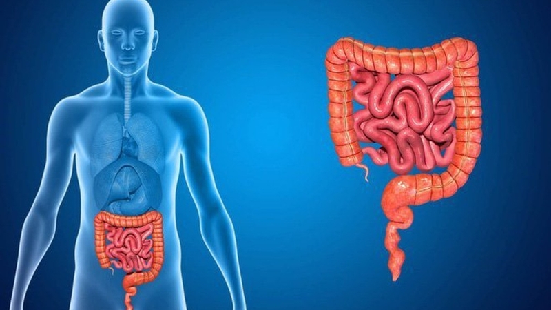 ​​Dấu hiệu và triệu chứng của bệnh U mô đệm đường tiêu hóa