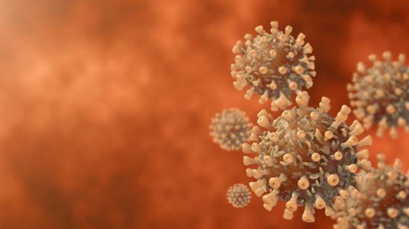 Lượng cholesterol cao hơn thúc đẩy sự xâm nhập của virus vào tế bào chủ 2