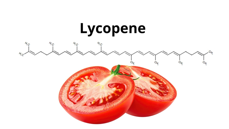 Công thức hóa học của Lycopene