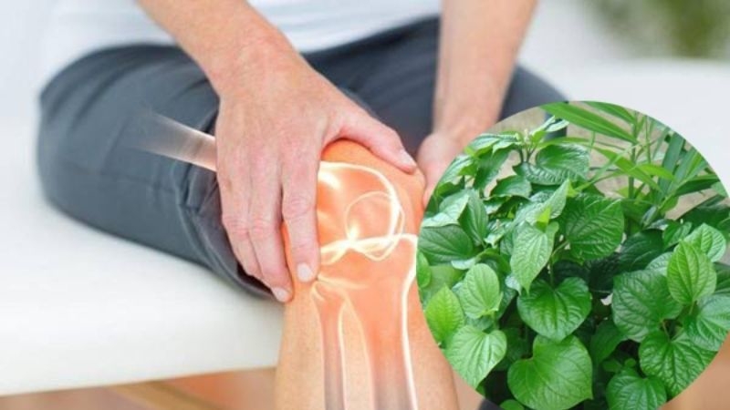 Mách bạn các cách chữa đau thần kinh tọa tại nhà hiệu quả 5