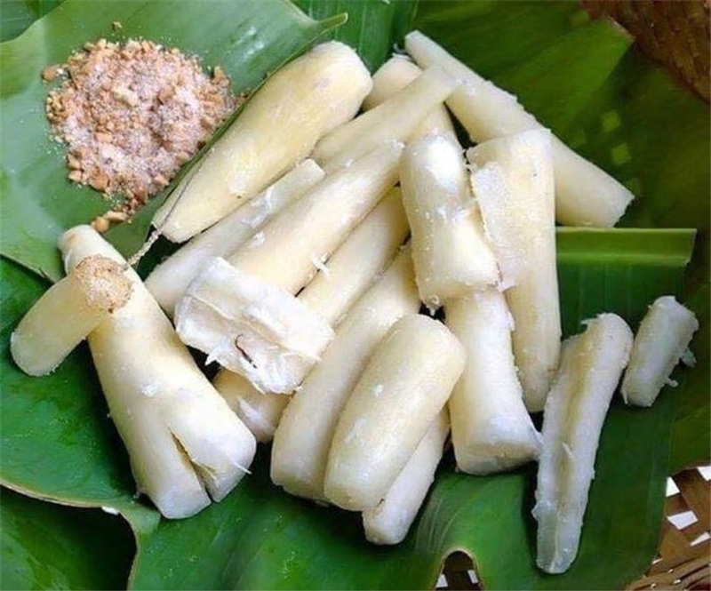 Mang bầu ăn củ sắn được không? Lợi ích và những lưu ý khi ăn sắn mà mẹ bầu cần biết 1