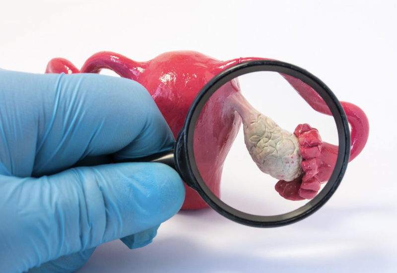 mang-thai-ho-va-cac-van-de-lien-quan 2