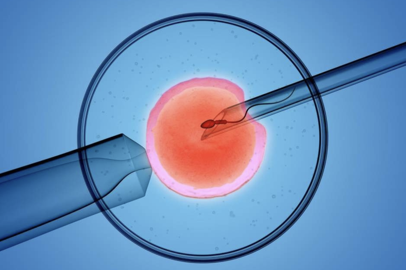 mang-thai-ho-va-cac-van-de-lien-quan 4