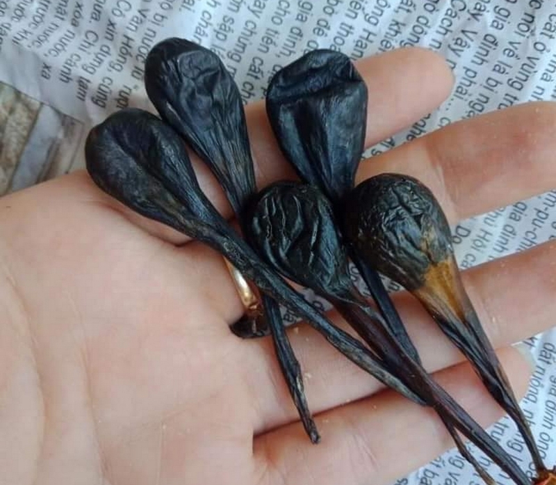 Mật kỳ đà có tác dụng gì? Cách sử dụng mật kỳ đà như nào cho hiệu quả? 3