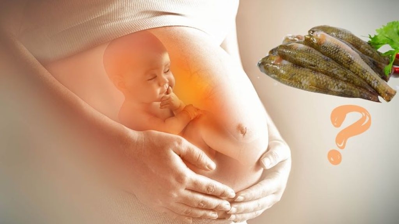 Mẹ bầu ăn cá diêu hồng được không? Những lưu ý cho mẹ bầu khi ăn cá diêu hồng 4