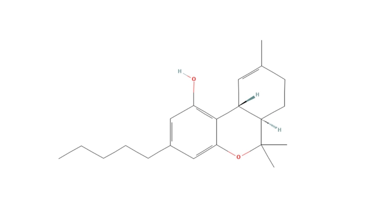 Tetrahydrocannabinol là chất gây tác động tâm thần chủ yếu trong cần sa