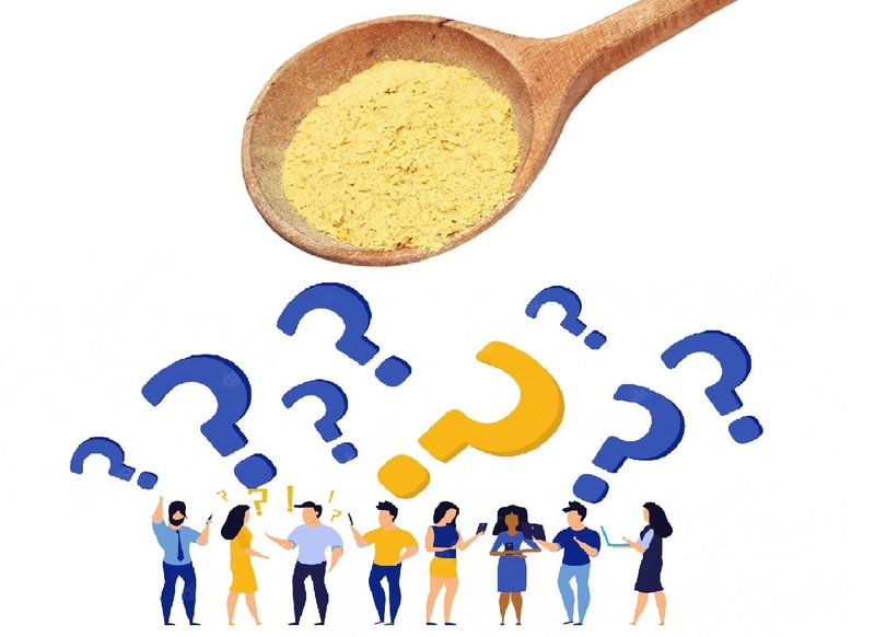 Men bia là gì? Tác dụng của men bia đối với sức khỏe 1