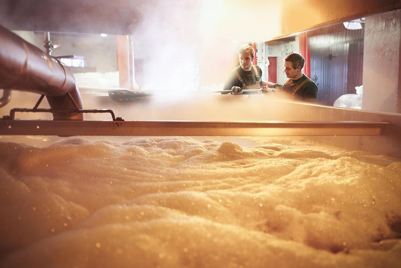 Men bia là gì? Tác dụng của men bia đối với sức khỏe 2