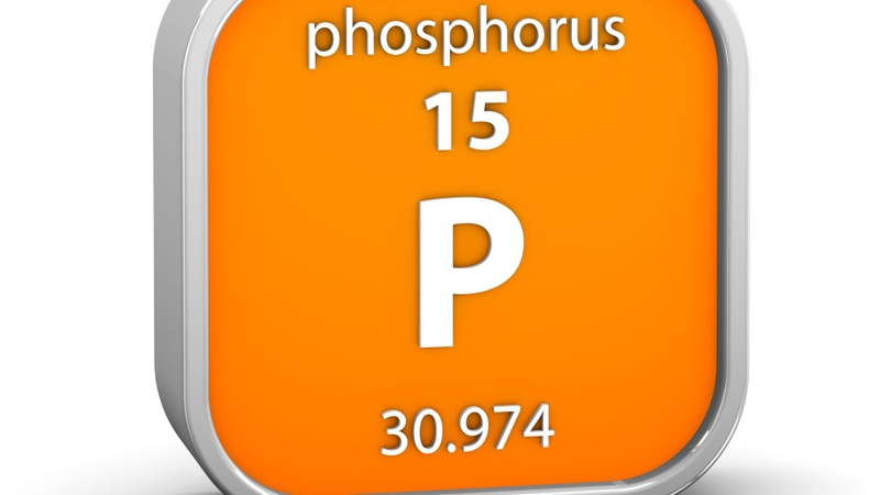 Phospho đóng vai trò quan trọng trong nhiều phản ứng sinh hóa và chức năng của cơ thể
