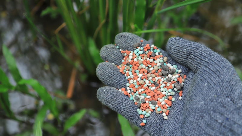 Monopotassium phosphate có vai trò quan trọng trong lĩnh vực phân bón