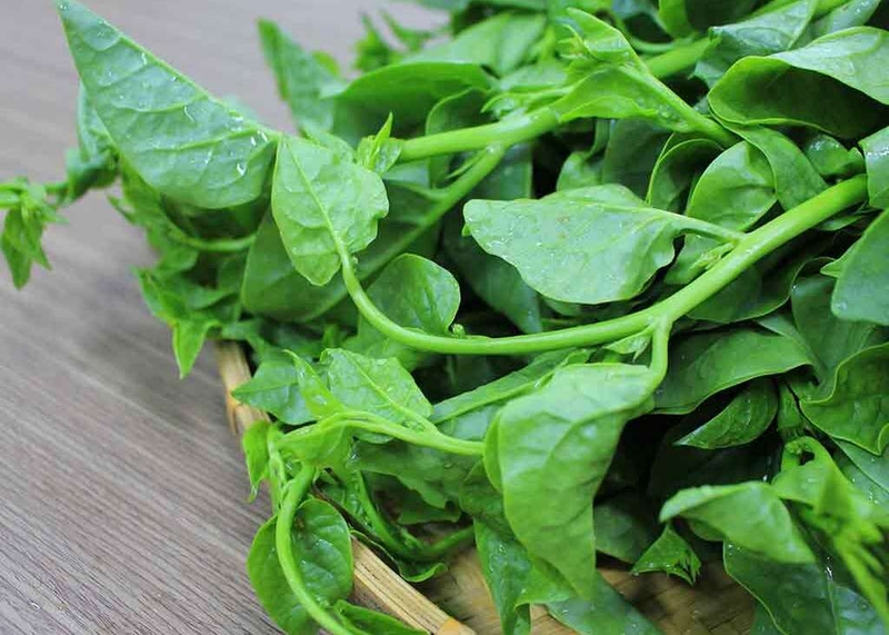 Nâng mũi ăn rau mồng tơi được không? Hướng dẫn chăm sóc sau phẫu thuật nâng mũi 1