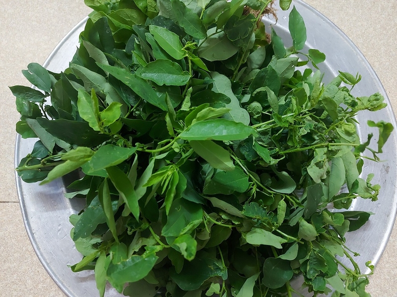 Nâng mũi ăn rau ngót được không? Những điều cần lưu ý sau nâng mũi 1