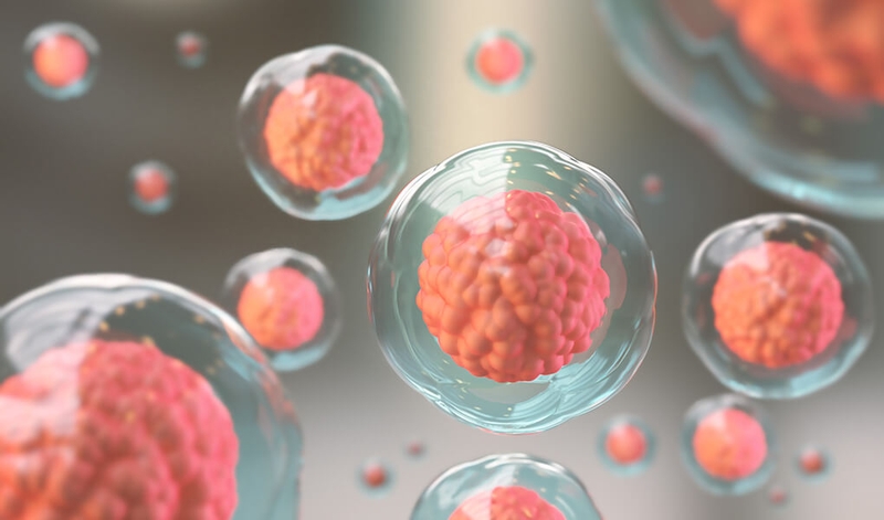 Nên xét nghiệm AMH vào thời điểm nào?1