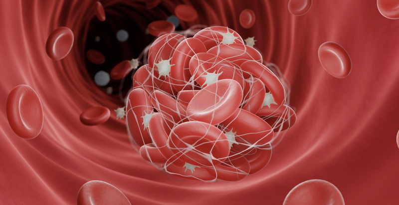 ngua-gai-bi-bam-tim-va-nhung-dieu-can-biet 3