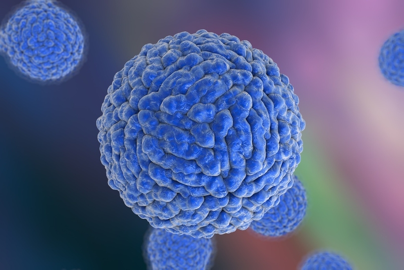 Người bệnh bị sốt xuất huyết có được gội đầu không? Hướng dẫn gội đầu cho bệnh nhân 1