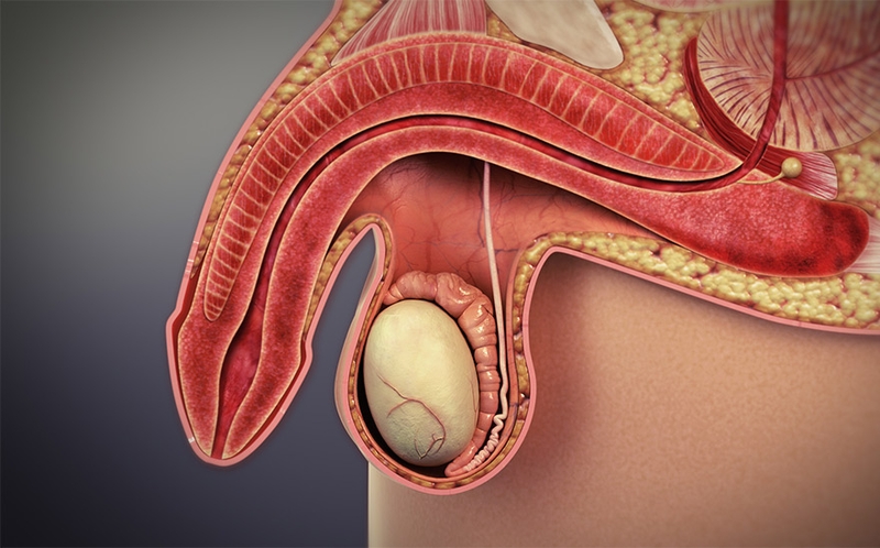 Nhu cầu sinh lý của đàn ông 60 tuổi 1