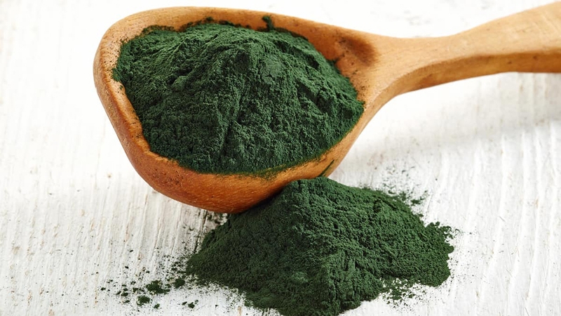 Những điều cần biết về bột tảo xoắn Spirulina 1