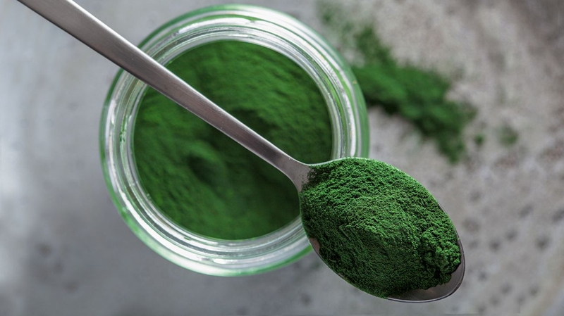 Những điều cần biết về bột tảo xoắn Spirulina 2