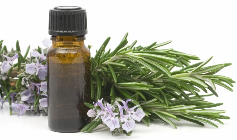 Những điều cần lưu ý khi sử dụng tinh dầu tràm cho trẻ nhỏ 1