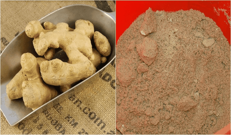 Nhung-meo-giup-bao-quan-gung-tuoi-lau-hon 3.png