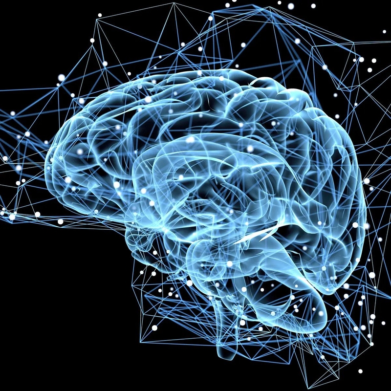 Nơron có chức năng gì? Vai trò của nơron với não bộ của chúng ta 4