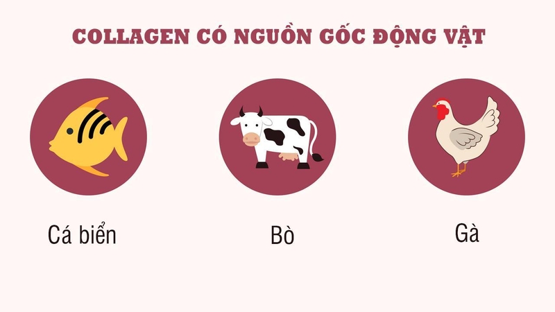 Nước uống collagen là gì? Collagen dạng nước nào tốt nhất hiện nay? 1