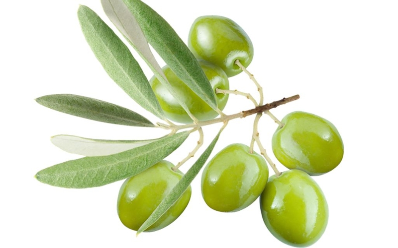 Oliu đen và oliu xanh phân biệt như thế nào? Ứng dụng trong nấu ăn 2