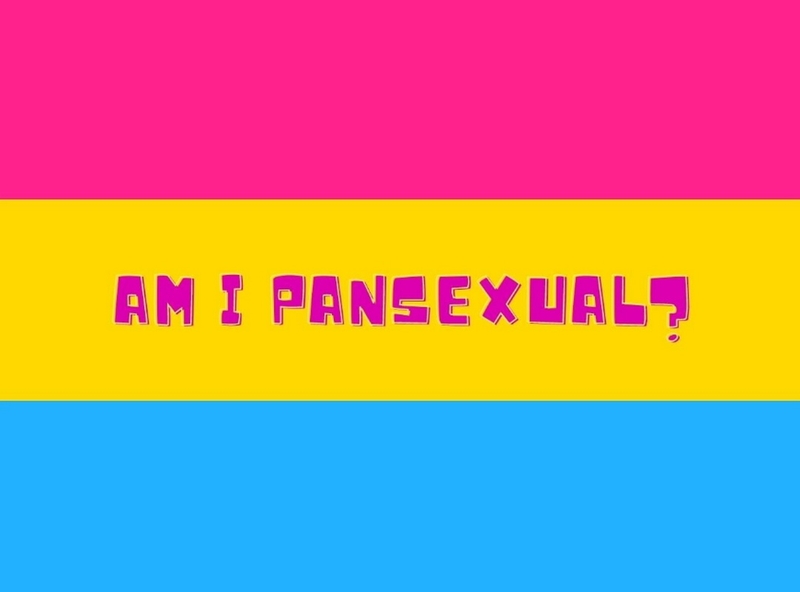 Pansexual là gì? Cách xác định tính hướng của bản thân mà bạn nên biết 1