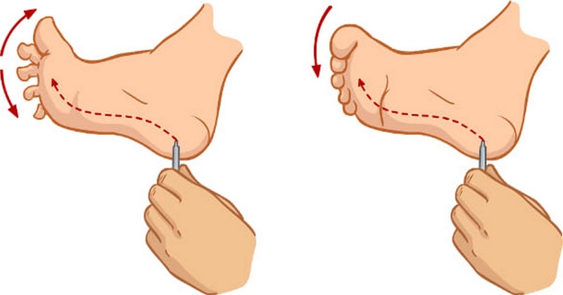 phan-xa-bo-thap-va-nhung-dieu-can-biet 3