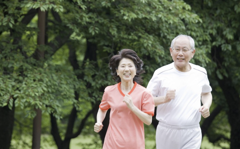 phan-xa-bo-thap-va-nhung-dieu-can-biet 4