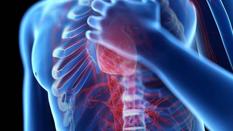 Phòng ngừa bệnh suy tim Bảo vệ trái tim luôn khỏe! 1.jpg